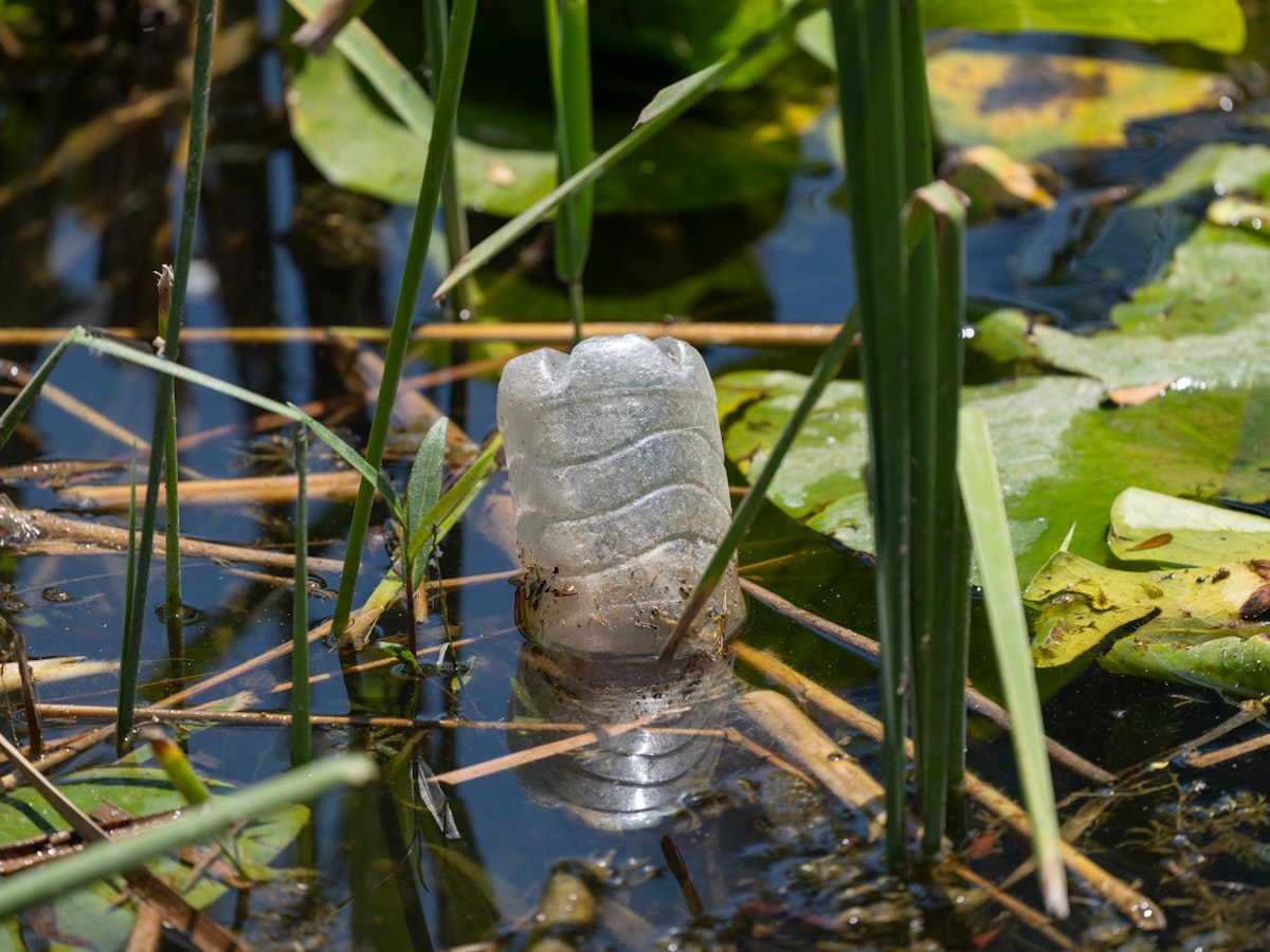 Zo verstoren microplastics je hormonen als vrouw